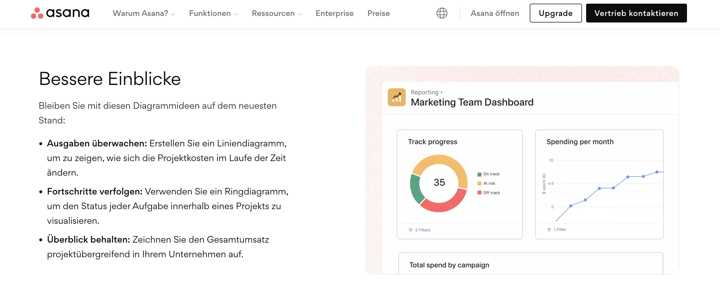 Asana Tool für Customer Success Manager